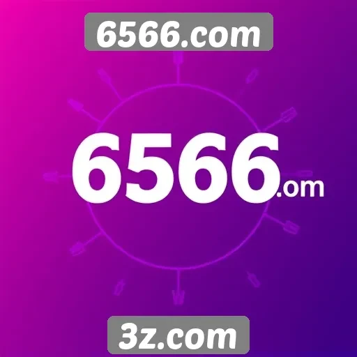 A segurança e proteção de dados no 6566.com