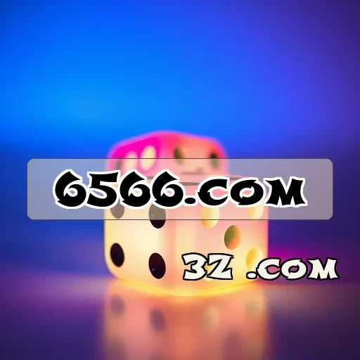 6566.com VIP